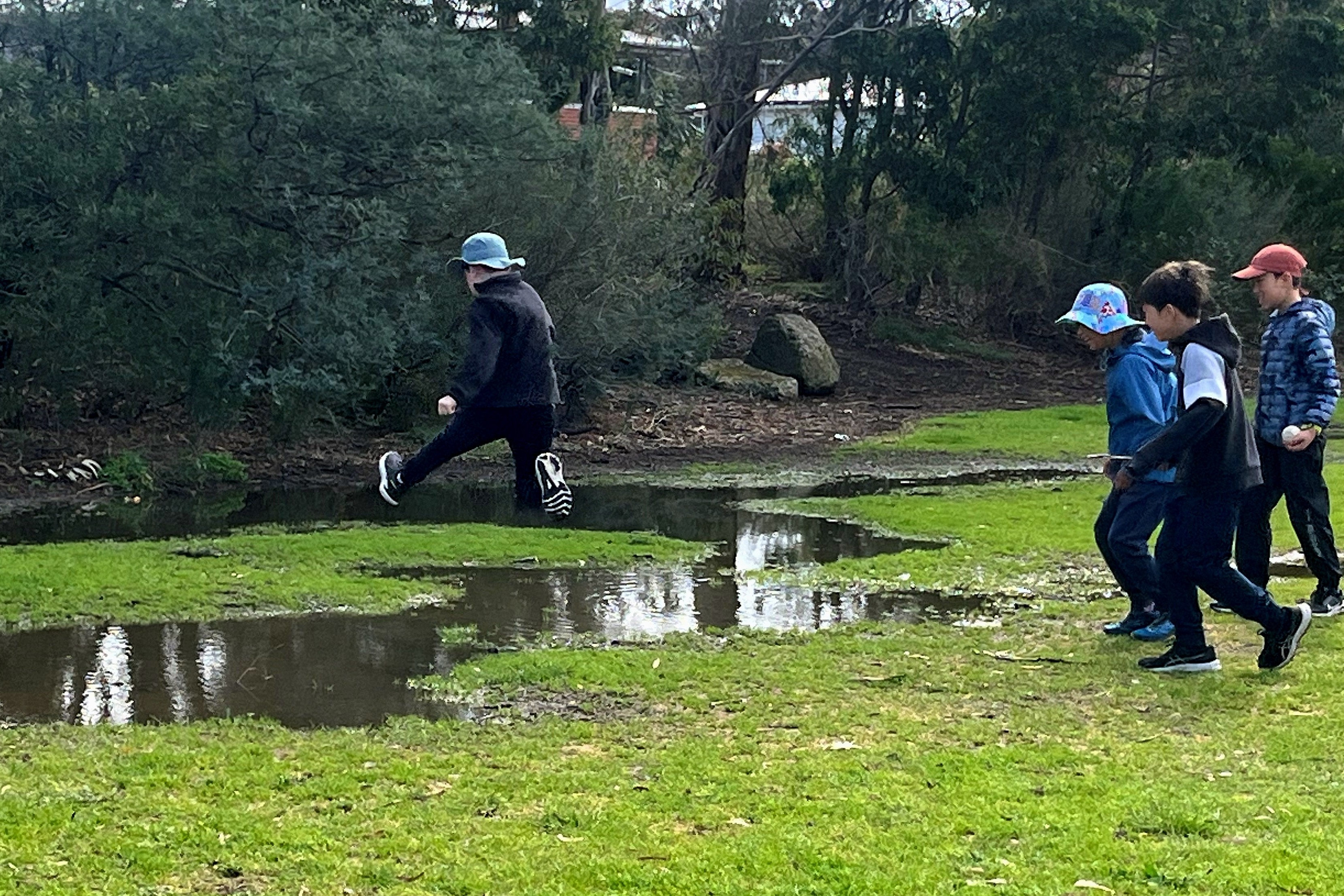 Jumping Puddles
